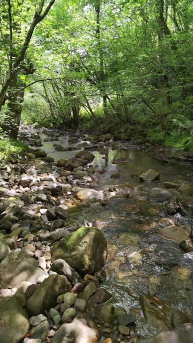Amplia Y Comoda Casa De Piedra Con Porche Y Jardin San Roque de Ríomiera Екстериор снимка