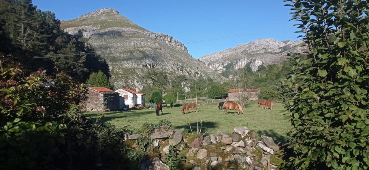 Amplia Y Comoda Casa De Piedra Con Porche Y Jardin San Roque de Ríomiera Екстериор снимка