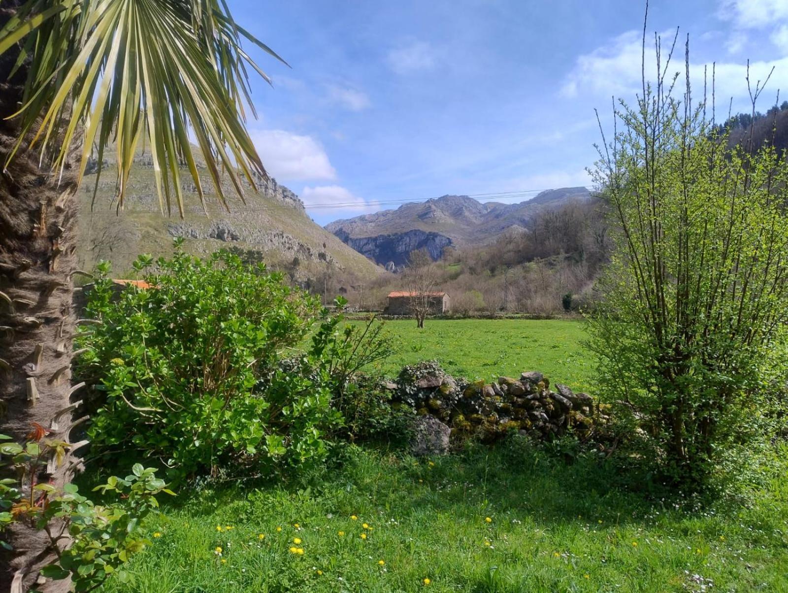 Amplia Y Comoda Casa De Piedra Con Porche Y Jardin San Roque de Ríomiera Екстериор снимка